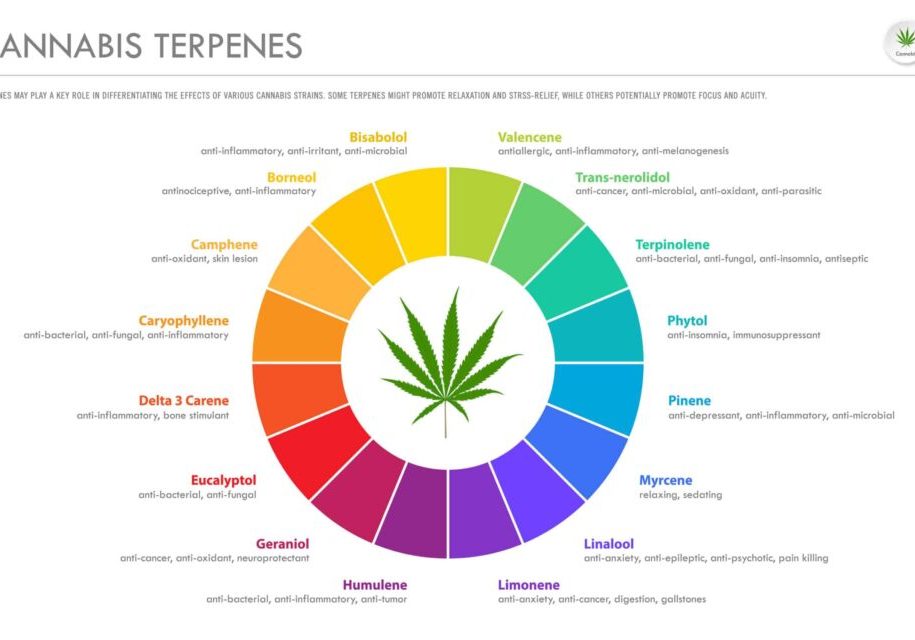 Terpene Territory 1